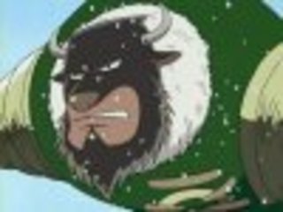 vain-bison697: One Piece style seal / human hybrid with Ope Ope no