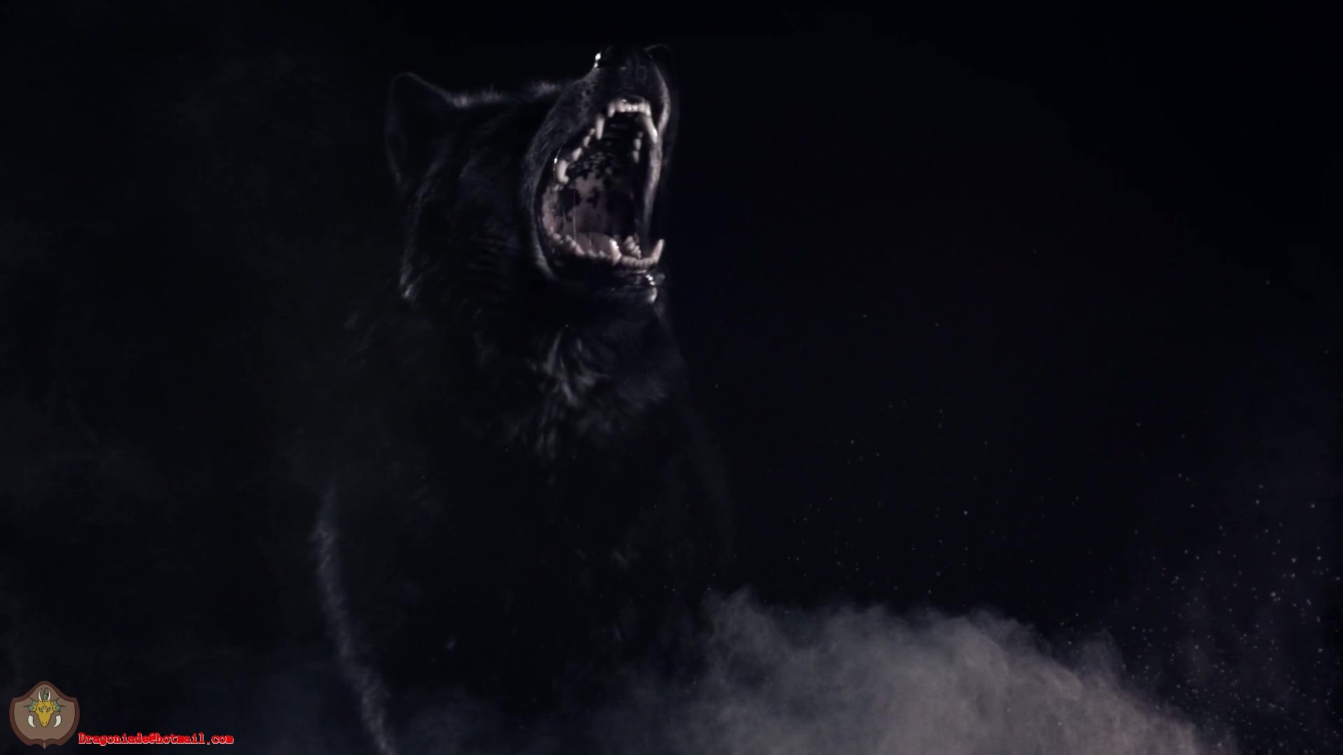 Чёрный волк из сериала