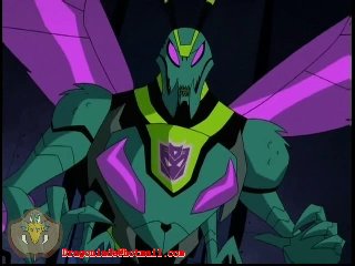 transformers animated wasp