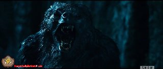 Underworld: Rise of the Lycans : Werewolf