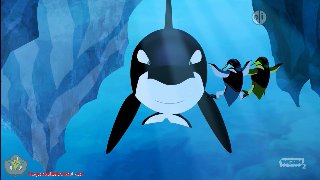 Wild Kratts : Orca