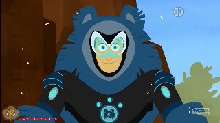 Wild Kratts : Animal TF: Sloth Bear