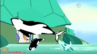 Wild Kratts : Orca